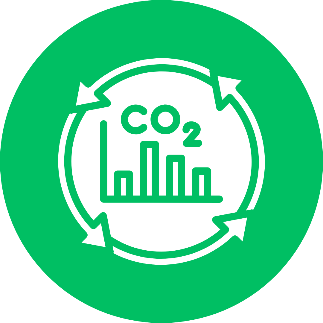 CO2 emissions